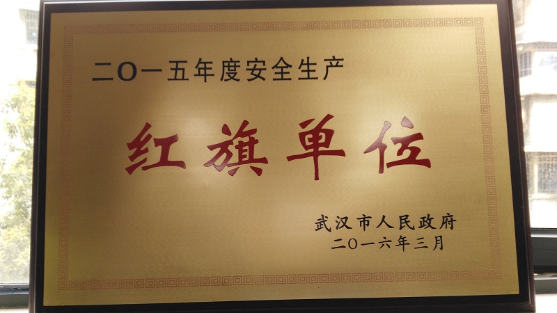 商務區集團榮獲武漢市2015年度安全生產紅旗單位