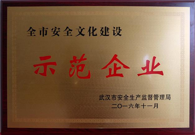 商務區置業公司榮獲“武漢市安全文化建設示范企業”稱號