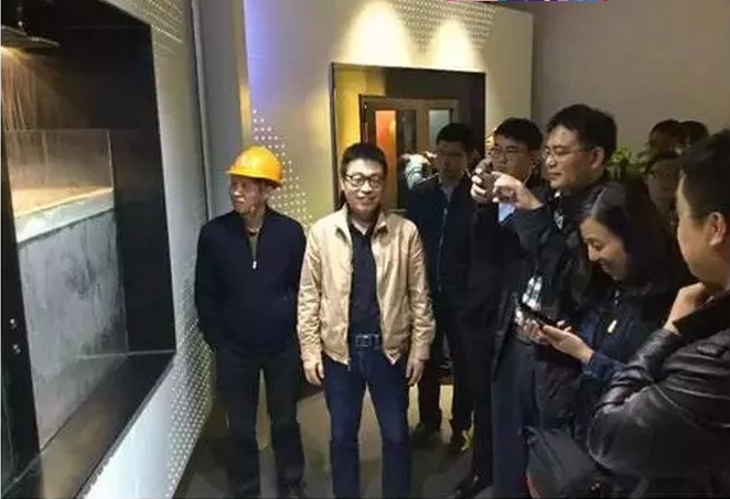 武漢中央商務(wù)區(qū)中城悅城項目順利通過住建部綠色三星建筑專項檢查