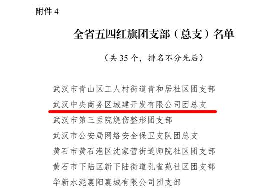 商務區(qū)集團所屬中城團總支榮獲 “全省五四紅旗團支部(總支)”榮譽稱號