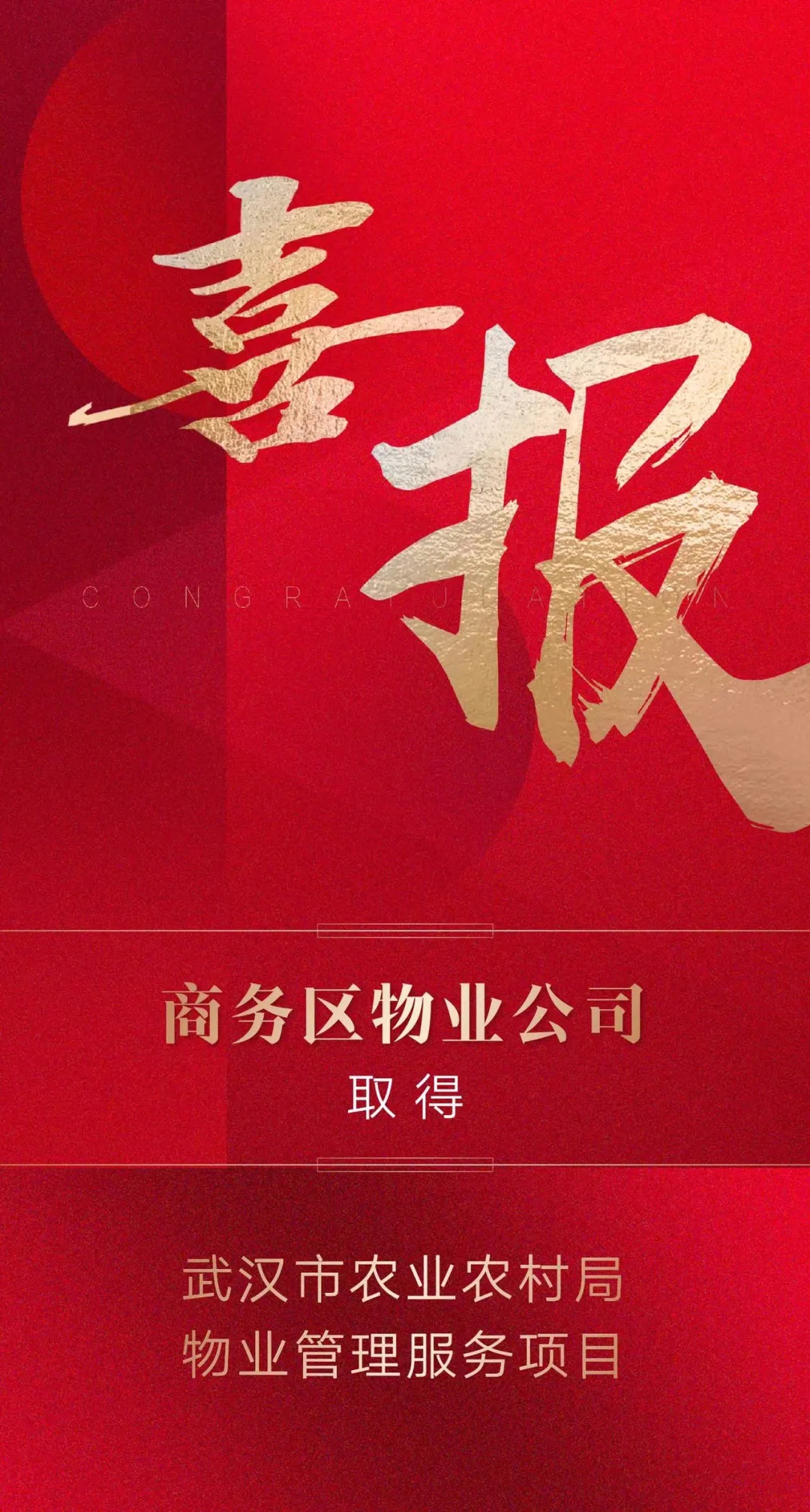 捷報頻傳，屢創佳績