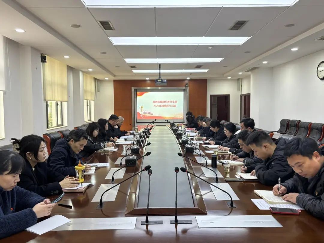 商務區集團機關黨支部召開2024年度組織生活會
